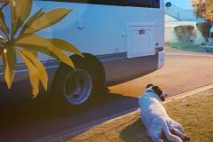 Bella and Fork the bus Crossing the Nullarbor