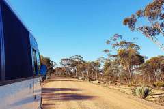 Fork the bus finding a camp spot for the night