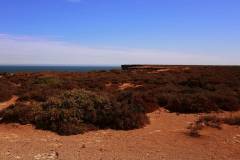 Nullarbor scrub to the edge of the Great Australian Bight