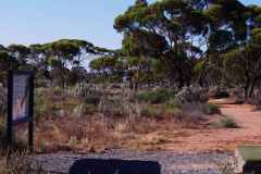 Nullarbor Links Skylab tee off and aim for the red dot