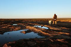 Finchy and Miss Bella dog checking out Newmans Rocks after the rain