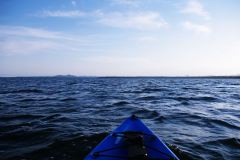 Finchy kayaking  Lake Cootharaba Qld
