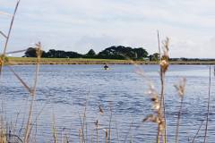 Finchy kayaking the Surrey River Victoria