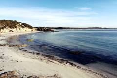 Finchy kayaking Vivonne Bay Kangaroo Island