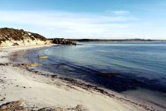 Finchy kayaking Vivonne Bay Kangaroo Island