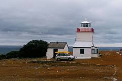 Kayaking trip Cape Border KI