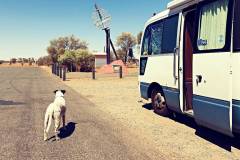 Miss Bella Dog and Fork the Bus at the Tropic of Capricorn 2019