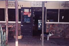 Daly Waters Pub, NT and Tara feeling the heat in 1988