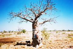 Linda and Cactus at the Pilbara Boab Tree in 1988