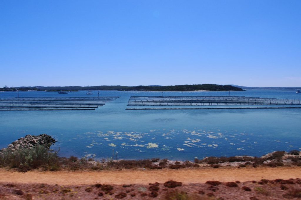 Coffin Bay Oyster beds coming into town