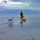 Kayaking Fun in the Sun  Southend  South Australia