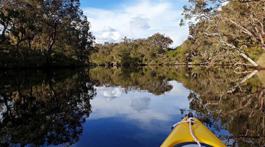 Kayaking the Kalgan River in the winter sun