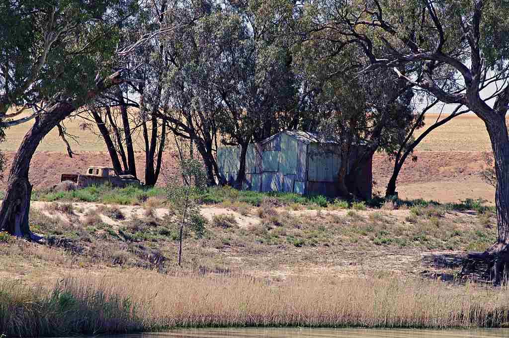 Murray River relics