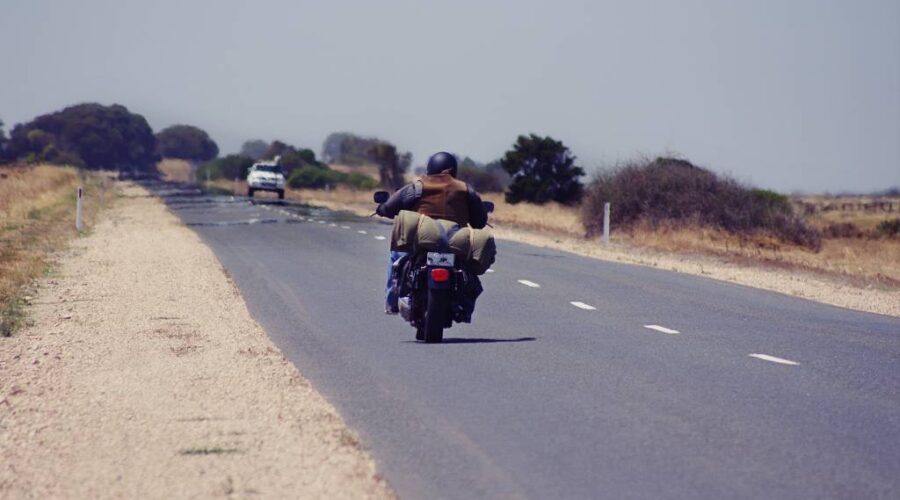 Finchy on the road at Langhorne Creek