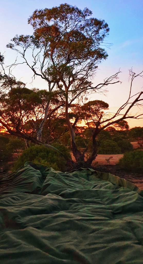 Sleeping in a swag on the Nullarbor