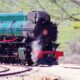 Pichi Richi Heritage Steam Train Trip