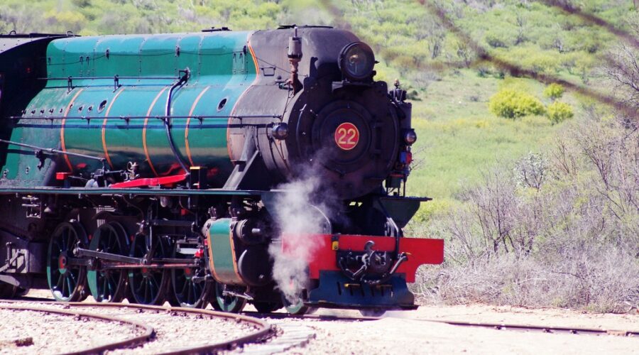 Pichi Richi Steam Train