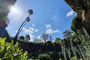 Umpherston Sinkhole Cave Garden