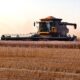 Wheat Harvesting in Australia