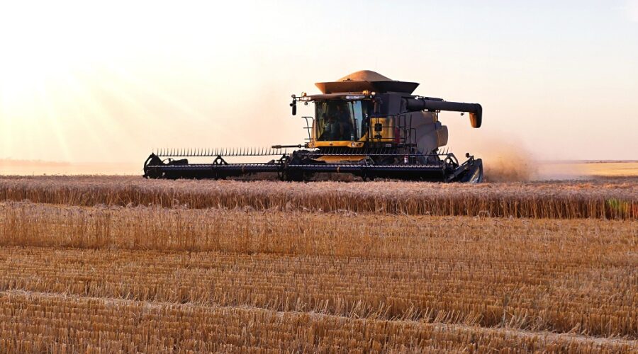 A harvester full of wheat