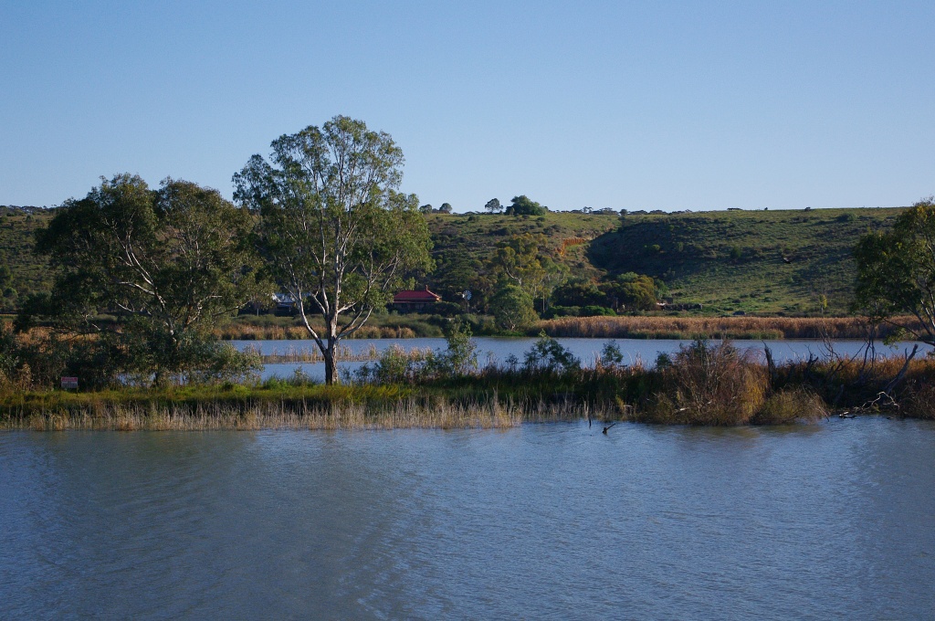 Farms along the Murray River