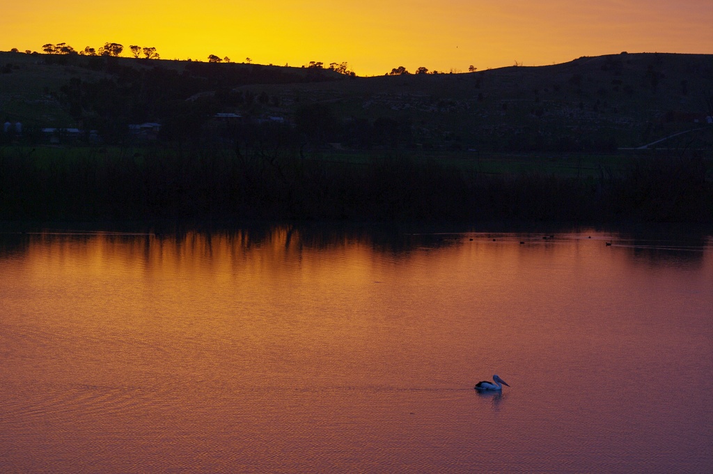 Murray River between Mannum & Murray Bridge