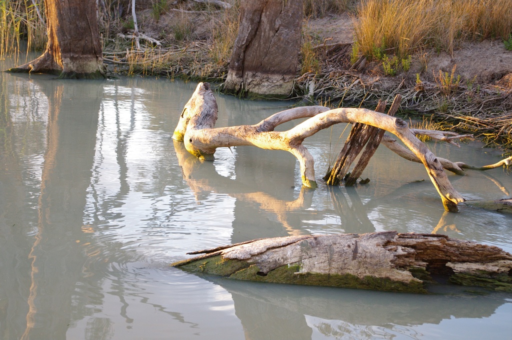 River snags to watch out for